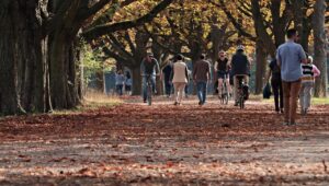 friends walkig on a leafy path