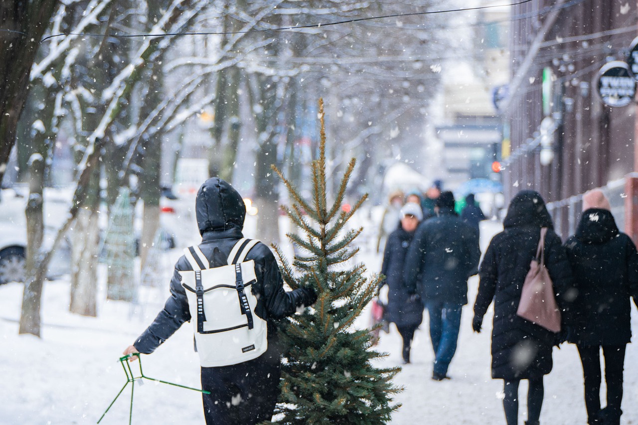 snowy street filled with people walking